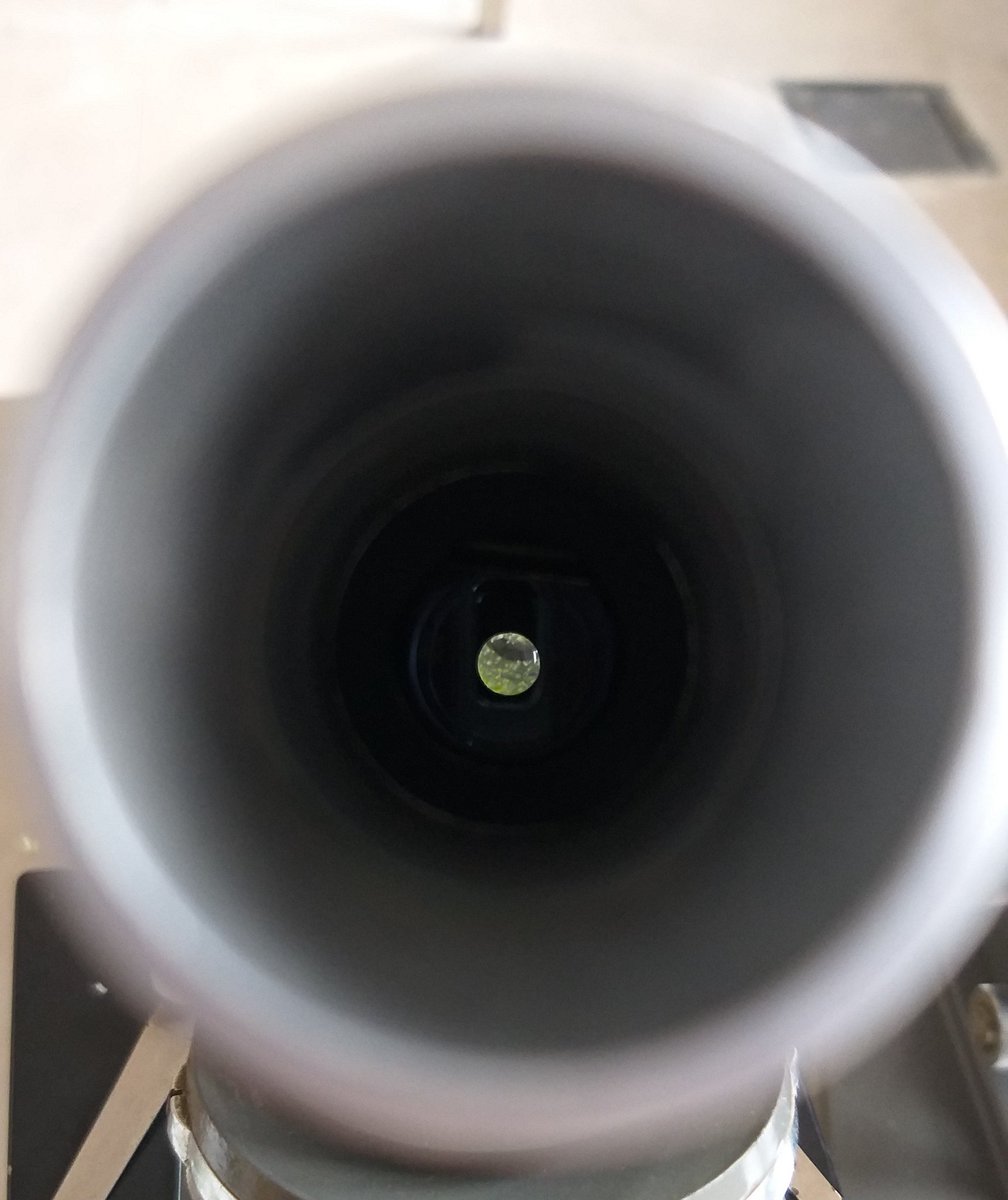 10. sınıflarla başlattığımız çalışmayı 12. sınıflarla devam ettirdik. Ektiğimiz zencefil dallanıp yapraklandı. Konu kapsamında ise bu bitkinin dalından kesit alıp mikroskopta inceledik. <a href="/ziyaselcuk/">Ziya Selçuk</a> @hmzaydg <a href="/safran1958/">Mustafa SAFRAN</a> <a href="/mfaruktekinn/">Mehmet Faruk Tekin</a> @meb_ailesi2023 <a href="/agrimem/">AĞRI MEM</a> @agriarge <a href="/AgriNGAL/">Ağrı Naci Gökçe Anadolu Lisesi</a>