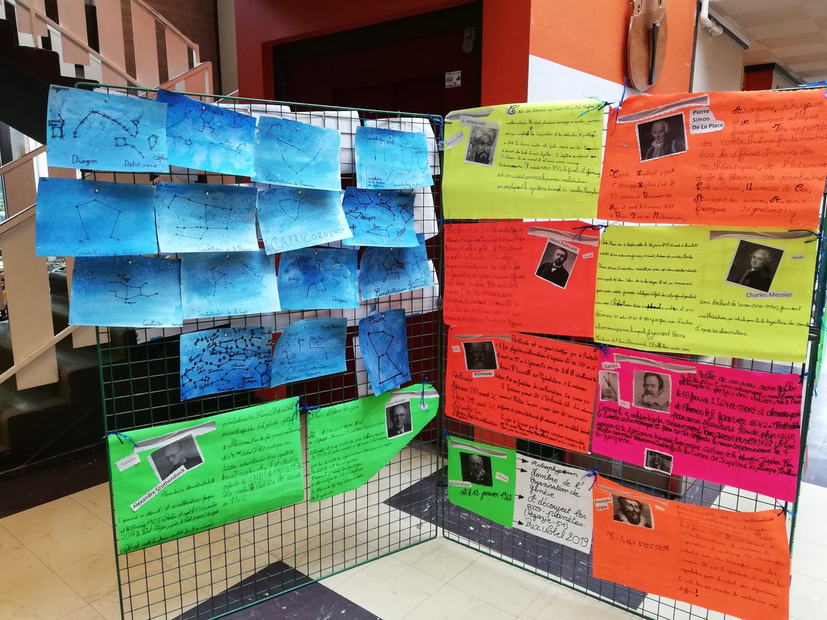 Eva TONDOLO tweet media