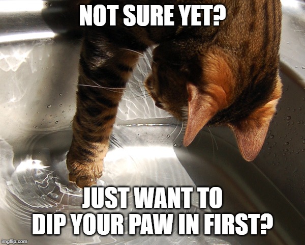 See ComedySportz at <a href="/StrikeTheater/">StrikeTheater</a> on Saturday at 7:30pm! Or think you can do better than us? Prove it! You can try out one of our improv classes...FOR FREE! 

Get tix for the show &amp; sign up for the free class here: csztwincities.com! No pressure, just a free class. #csztc