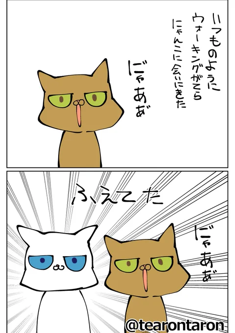 きのうのねこ 