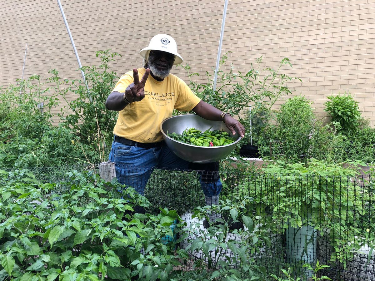 The_Bentils's tweet photo. In the Garden! 

#tbt #gardentotable #stlouis #thebentils #fellowship #artgallery #eventspace #eventplanner #AtTheBentils #blackownedgalleries #blackowned #blackownedkitchen #blackownedeventspace #stlblackowned https://t.co/rpNyPYduFb