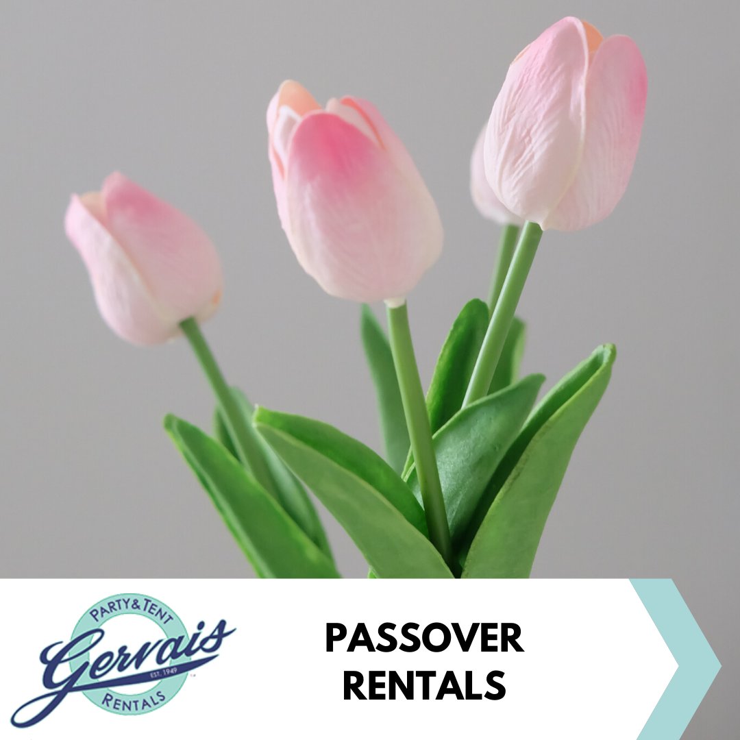 We have everything you need to create a special Passover gathering. gervaisrentals.com/passover-renta…
#gervaisrentals #torontorentals #gtarentals #toronto #scarborough #ajax #whitby #markham #richmondhill #etobicoke #oshawa #pickering #durhamregion #thornhill #uxbridge #kawarthas