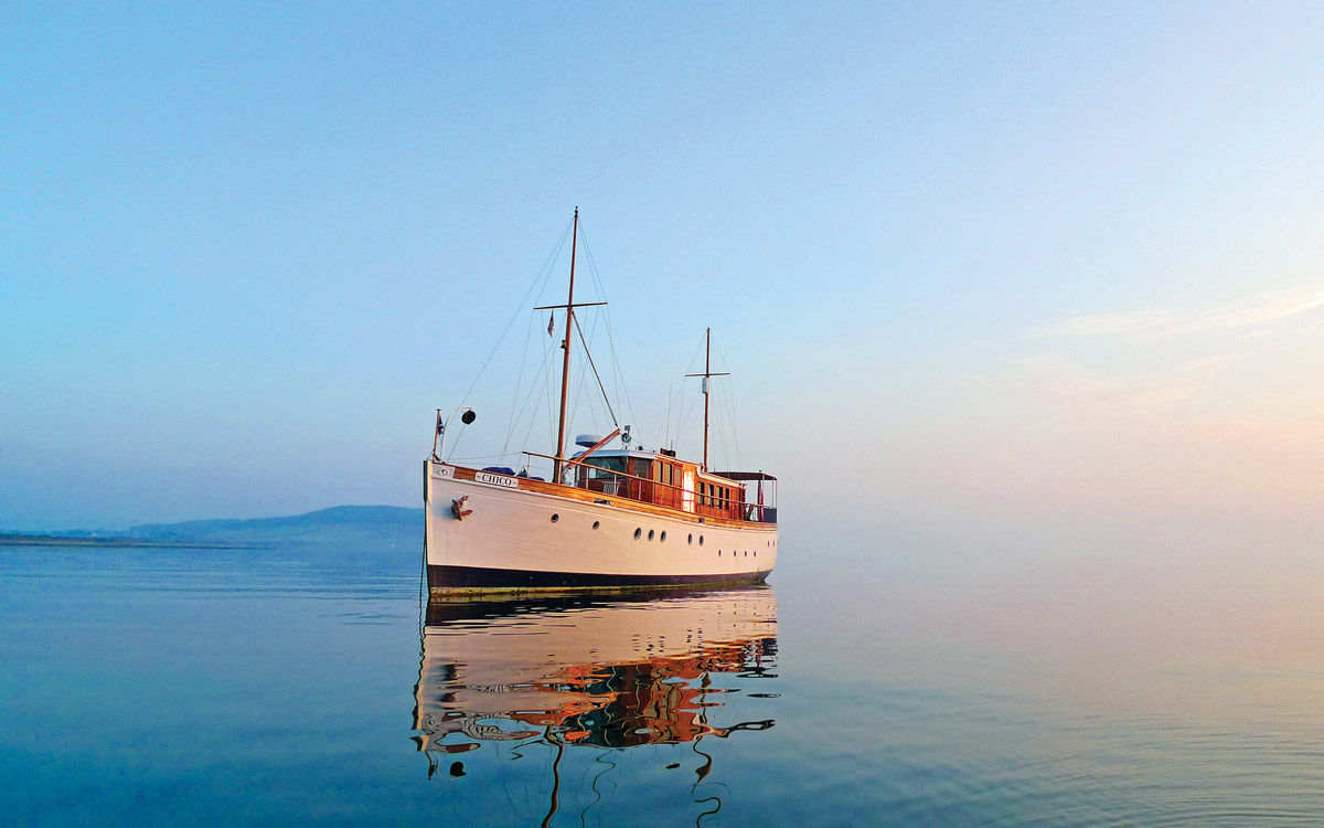 Which Cottage tweet media