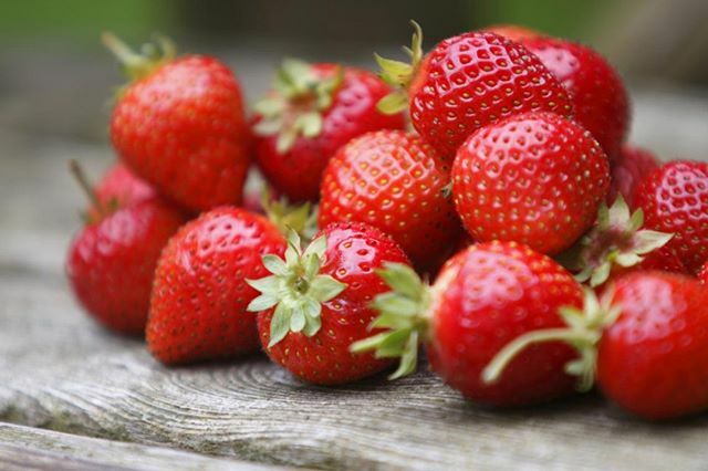 servibelleza's tweet photo. 🍓 Ya está llegando la temporada del rico fresón!! 🍓

Hace tiempo que algunos cocineros aficionados probaron una nueva forma de hacer salmorejo en la que el tomate cede un poquito de su protagonismo al fresón.

El resultado es una excelente forma de versionar el salmorejo man… https://t.co/wlWYgzQtuT