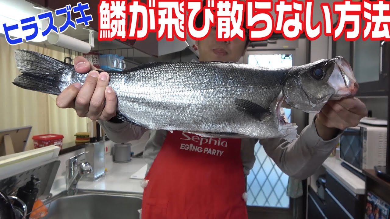 竹本保幸 鱗が飛ばない方法でさばく 釣った魚 ヒラスズキ が美味すぎた T Co Oaihn3bz25 Youtubeより 釣り好きタケちゃんネル 魚 料理 魚の捌き方 鱗 飛ばない 鱗取り 鱗が飛び散らない ヒラスズキ 三枚おろし 刺身 釣り好きな人と 竹本保幸 鱗が飛ばない方法でさばく 釣った魚 ヒラスズキ が美味すぎた T Co Oaihn3bz25 Youtubeより 釣り好きタケちゃんネル 魚 料理 魚の捌き方 鱗 飛ばない 鱗取り 鱗が飛び散らない ヒラスズキ 三枚おろし 刺身 釣り好きな人と