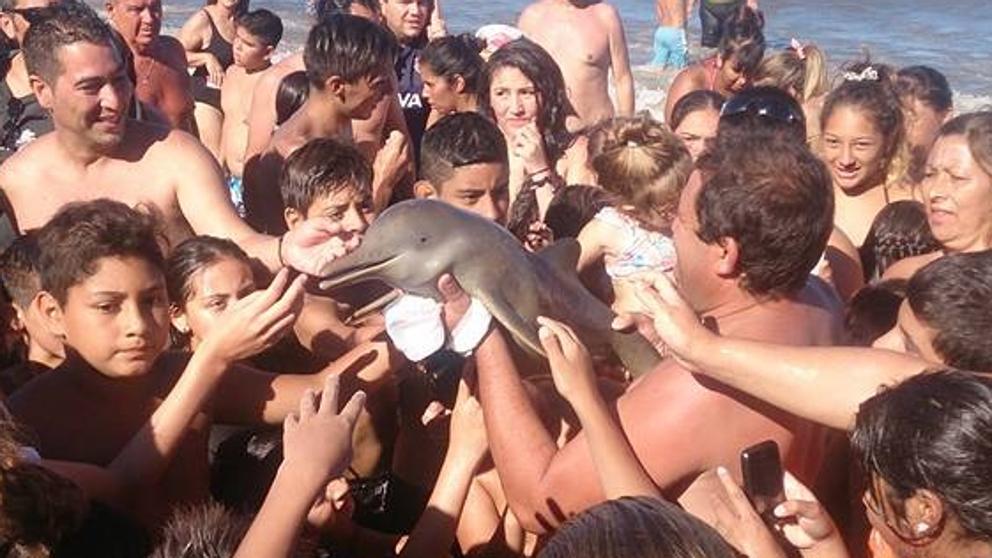 Hay que apostar por la responsabilidad social de la gente.

La gente: