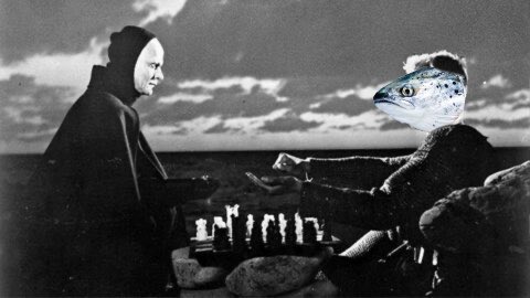 Musse Cigg tweet media