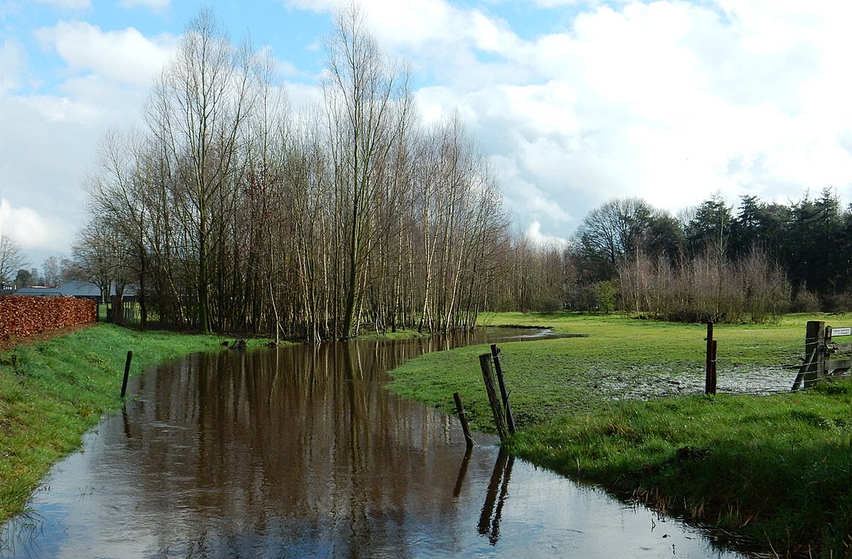 HeijdenJozef's tweet photo. Het beekje de #Raamsloop is buiten zijn oevers getreden.
De Raamsloop stroomt van Reusel, via #Hulsel en Lage Mierde door #LandgoedWellenseind, om daar samen te komen met het #beekjeDeReusel.
@BoswachterFrans @Brab_Landschap @Natuurmonument @waarneming @IVNNederland https://t.co/9TU8Nn6w6o