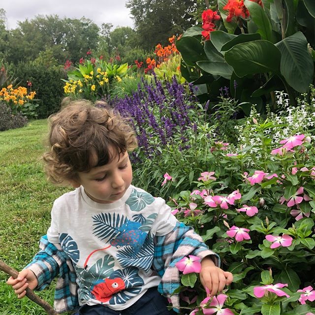 Happy Spring!
.
.
.
.
.
#spring #springgarden #pollinators #pollinatorgarden #flowers #vegetables #veggies #kitchengarden #growyourown #growfoodnotlawns #vegetablegarden #ecology #permaculture #organicgardening #goorganic #backyardgarden #allnatural #edi… ift.tt/2TKJes1