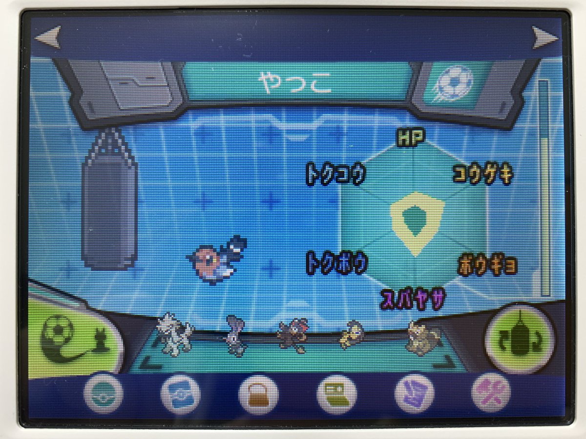 トップコレクション ポケモン スパ トレ 最優秀ピクチャーゲーム