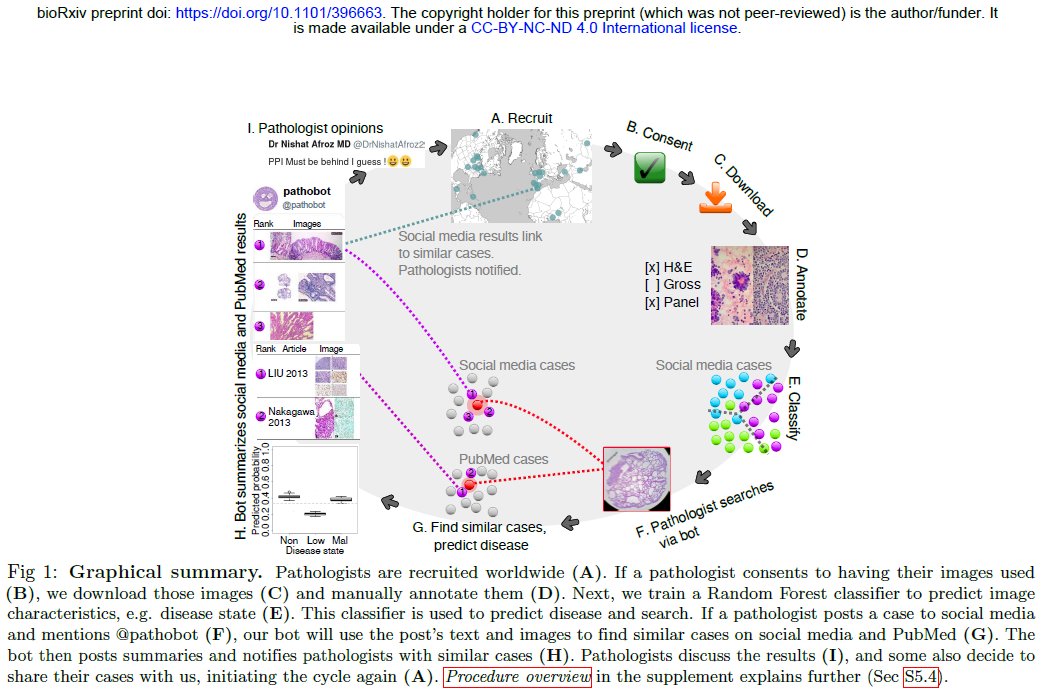 Pathobotology Thanks Draeosina Sty Md Anapathresident Smlungpathguy Binxu16 Yro854 Drrolaali Drgeeone Tralimiguel Dr Mprieto Ariella8 Deedee2984 Jmcmahong Henryy Md Jmgardner Parasitegal Sranna86 Kathiarrosado