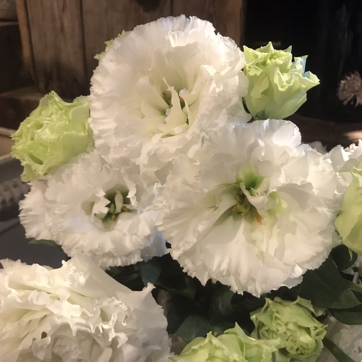 『あの日』

の事は、きっとみんなはっきりと覚えてるに違いない、、

あれから9年

まだまだ続いてる
憂うる諸々、、

今日は、忍ぶ花を。

#忍ぶ花#慰めの花#鎮魂花#あれから9年#東日本大震#憂うる事諸々