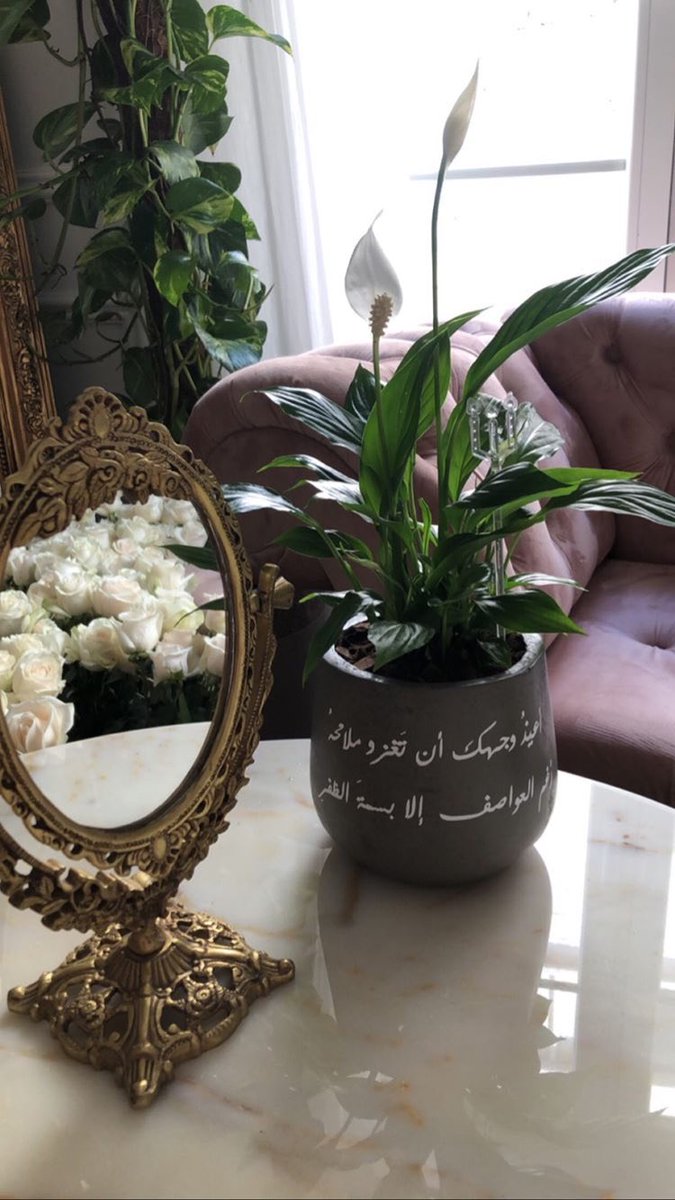 قًلبُღمكآبُرًツ❥🎼☕ tweet media