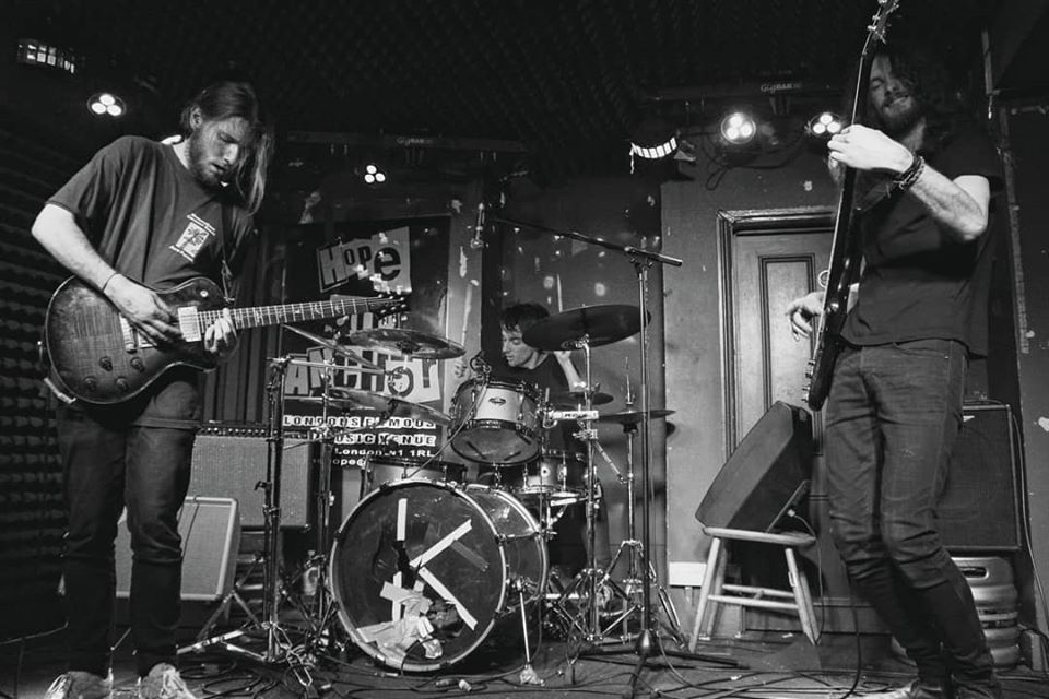 Bow Beehive tweet media