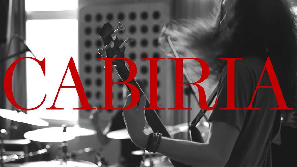 Bow Beehive tweet media