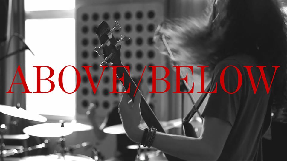 Bow Beehive tweet media