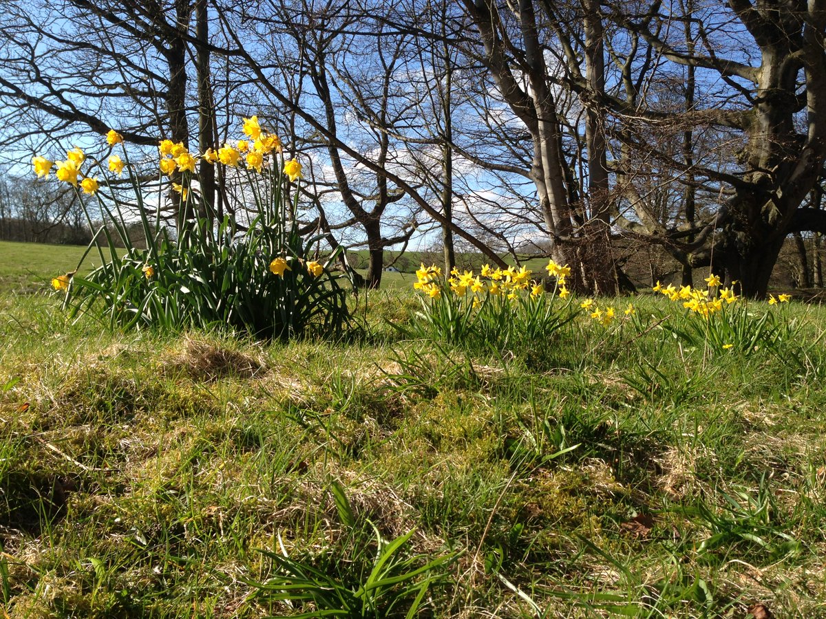 Enjoy a Spring break at Walkmill Campsite and enjoy exploring our wonderful county &amp; local visitor attractions <a href="/2northumberland/">Visit Northumberland</a> @WarkworthNLand @amblenorthland @HowickHallGarde <a href="/CampAndCaravan/">The C&CC</a> <a href="/VisitAlnwick/">Visit-Alnwick</a> to book email info@walkmillcampsite.co.uk or call 01665 710155