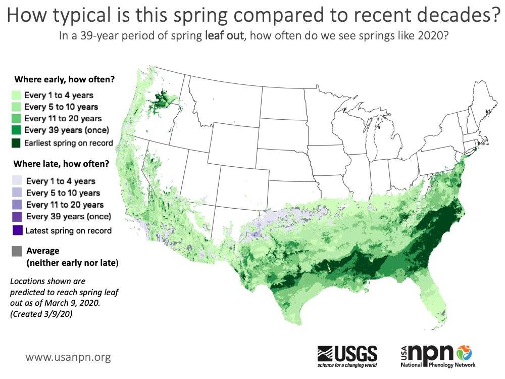 Earliest spring ("first leaf-out") on record for a large portion of the Southeast. Many areas are nearly 20 days earlier than average.

+ Follow along (@USANPN): usanpn.org/news/spring
+ Data: usanpn.org/data/observati…
+ Future projections (CESM model): link.springer.com/article/10.100…