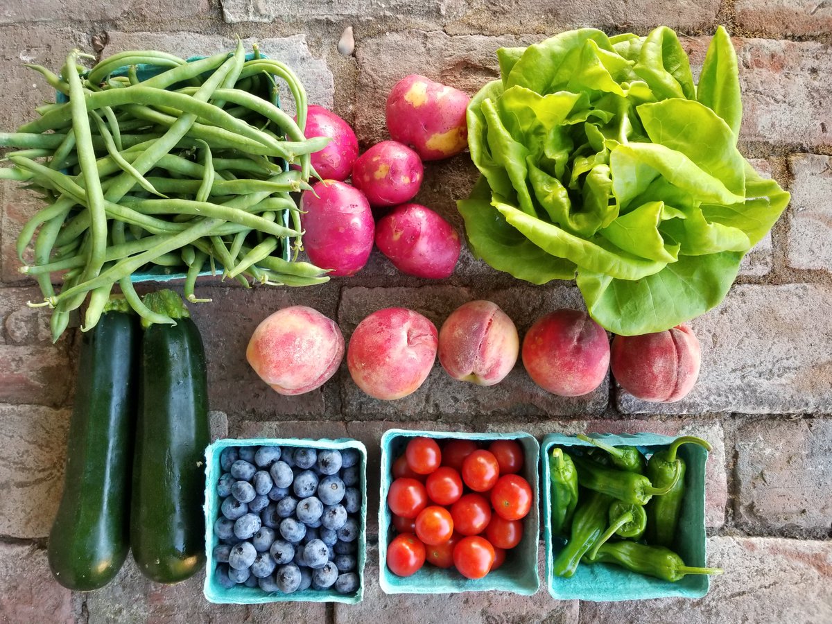 groundworksfarm's tweet photo. Register NOW for a season of healthy eating for you and your family!  Summer-Fall Shares available NOW!
https://t.co/VEKCI7lTAu
#summercsa #eatlocal #cleanfood #organic https://t.co/pRfO8IVWGC