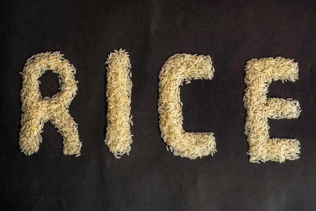 AgripreneurTV's tweet photo. Saviez-vous qu'avec moins de semences, moins d’💧 et moins d’engrais, vous pouvez produire du riz 🍚 avec des rendements moyens de plus de 5⃣0⃣% d’augmentation.
Les détails?
=} https://t.co/OFPe7kB336
#TechnoFocus #Innovationagricole https://t.co/Oo32KBjMnu