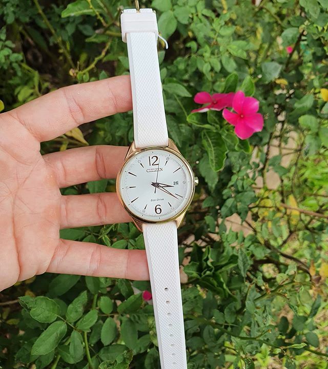 jbstorepy's tweet photo. Precio: 550.000Gs .
.
.
.
#Citizen Eco-Drive malla de caucho con fechador para dama. Consultas al 0981340403 #jbstorepy
.
.
.
▶Productos originales con garantía 🔝
▶Aceptamos todas las tarjetas de crédito 💳
▶Descuento por pagos en efectivo 💵
▶Envíos a domicilio y a todo e… https://t.co/aG8jN6RB6v