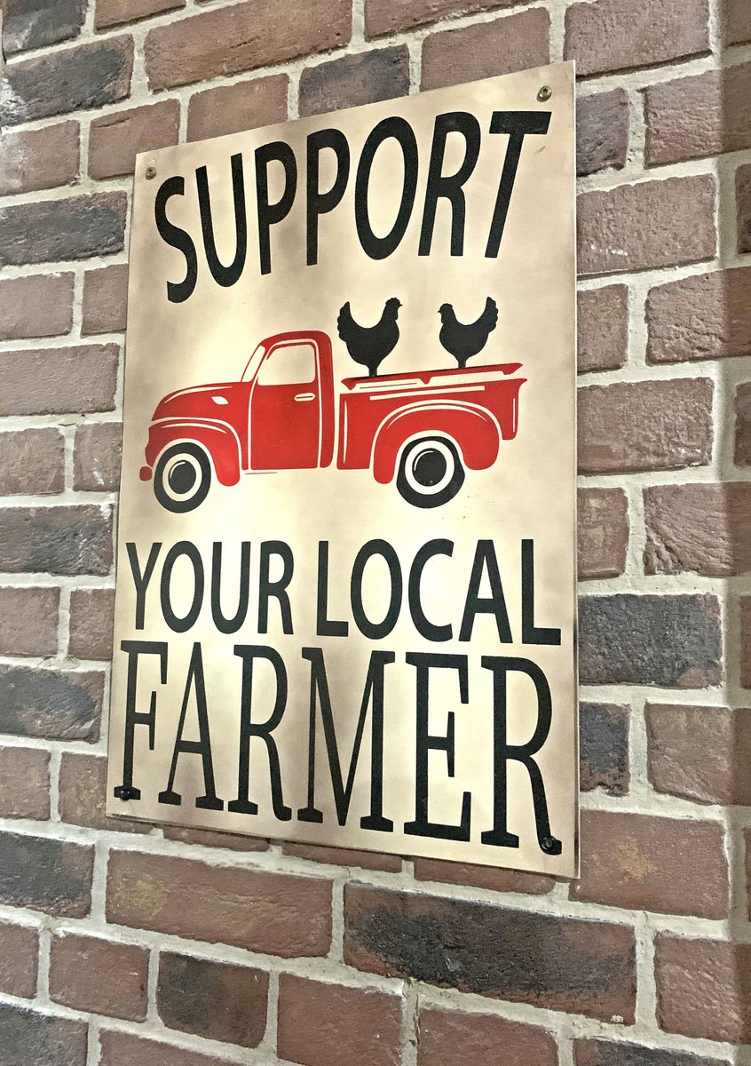 I'm so excited for y'all to see the great work in <a href="/Jesse83Diner/">Jesse's Diner</a>! Hopefully these additions will support local townsfolk in #TornadoSprings and send some business your way <a href="/Farmer_Flo1/">Farmer Flo</a> 👍