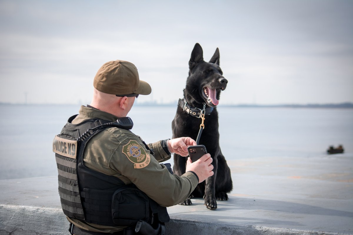 NCCPD_DE's tweet photo. “But first, let me take a selfie” -K9 Echo 

Master Corporal Donahue and his partner K9 Echo take a selfie at Battery Park in Old New Castle Delaware on February 18th, 2020.
#workingdogwednesday #nccpd https://t.co/Pe38hEtu7u