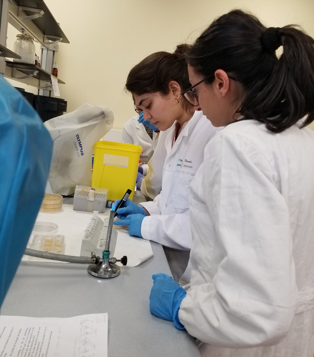 breakbiofilms's tweet photo. The breakers are getting up close and personal with the biofilms! As well as lectures, they're also attending microbiology lab sessions. 
#breakingbiofilms #h2020 #spreadthescience https://t.co/v65VgCpcJL