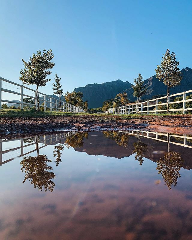 gavp18's tweet photo. Puddle Gram .
.
.
.
.
#bevisuallyinspired #milliondollarvisuals #visualsmovement #houseoftones #all2epic #visualseduction #trappingtones #unlimitedplanet #folkscenery #leagueoflenses #earthexperience #alifealive #mashpics #ourmoodydays #acreativevisual #… https://t.co/IYz7ZW3bjI https://t.co/TJp6iH4R9m