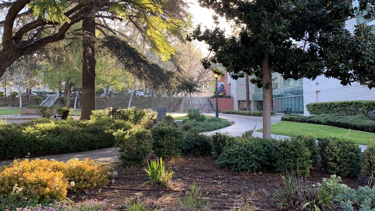 WhittierCollege's tweet photo. Good morning, Whittier ☀️ https://t.co/fX6KsKDw3U