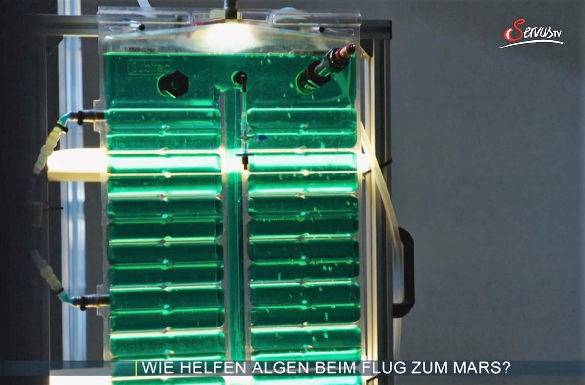 Watch Prof. Ewald and Dr. Gisela Detrell talk about our #algae experiments <a href="/Uni_Stuttgart/">Uni Stuttgart</a> on @ServusTV here:

▶️servustv.com/videos/aa-2234… 
(in German)