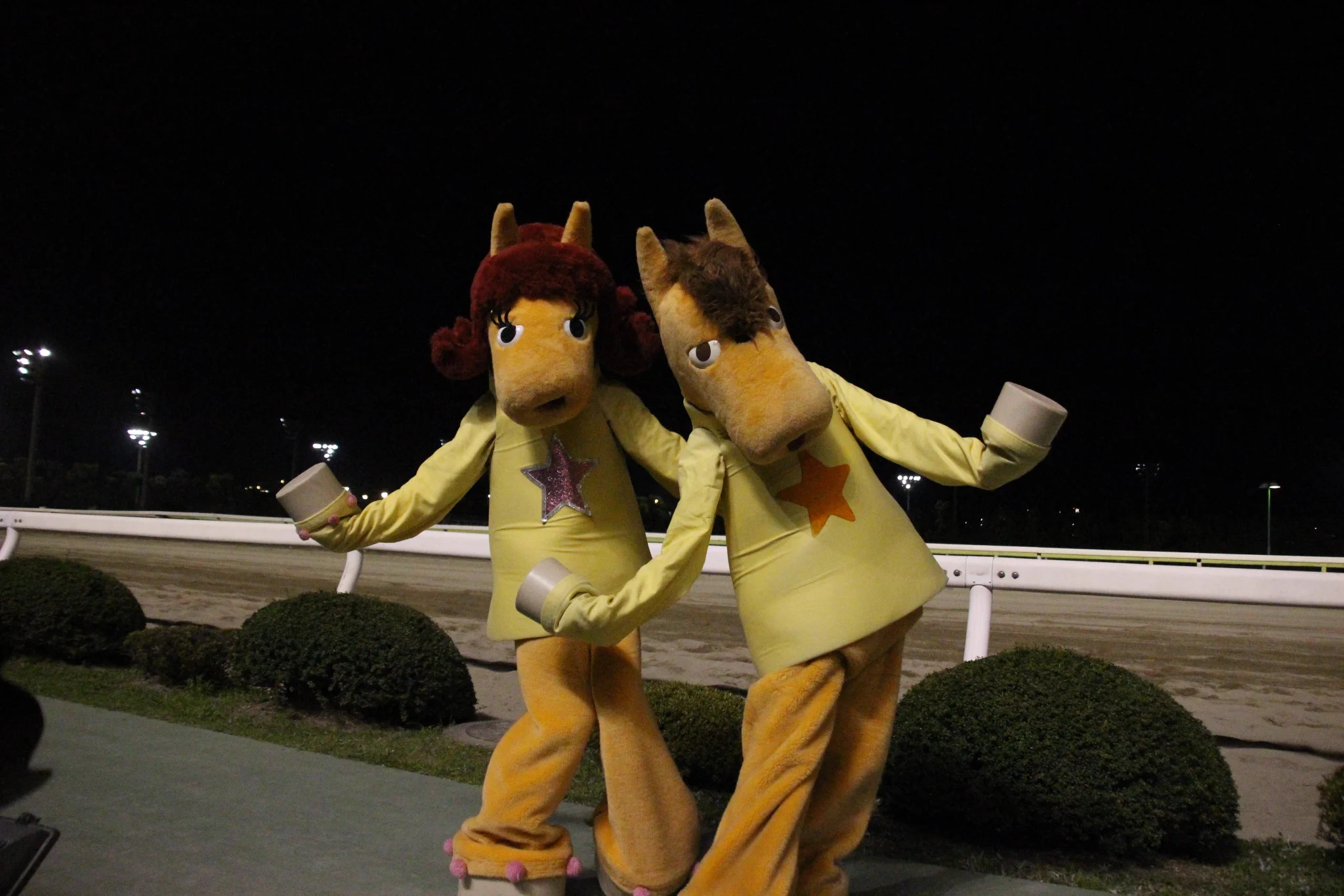 @808Towns 便乗してストレスを感じている皆様に 