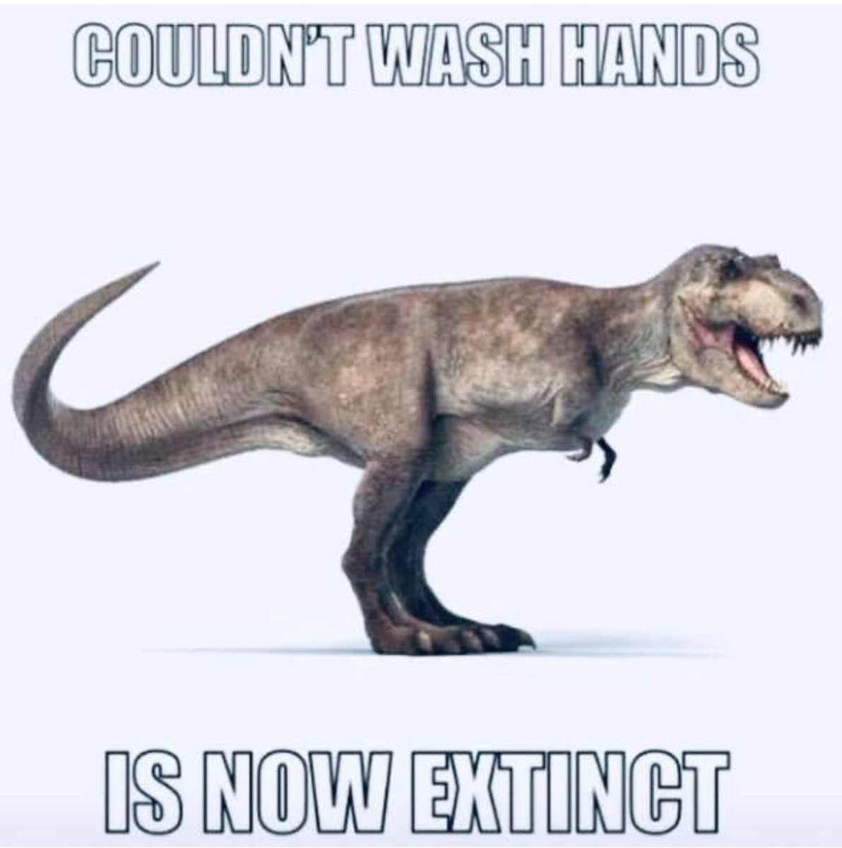 Image result for t rex couldn't wash hands