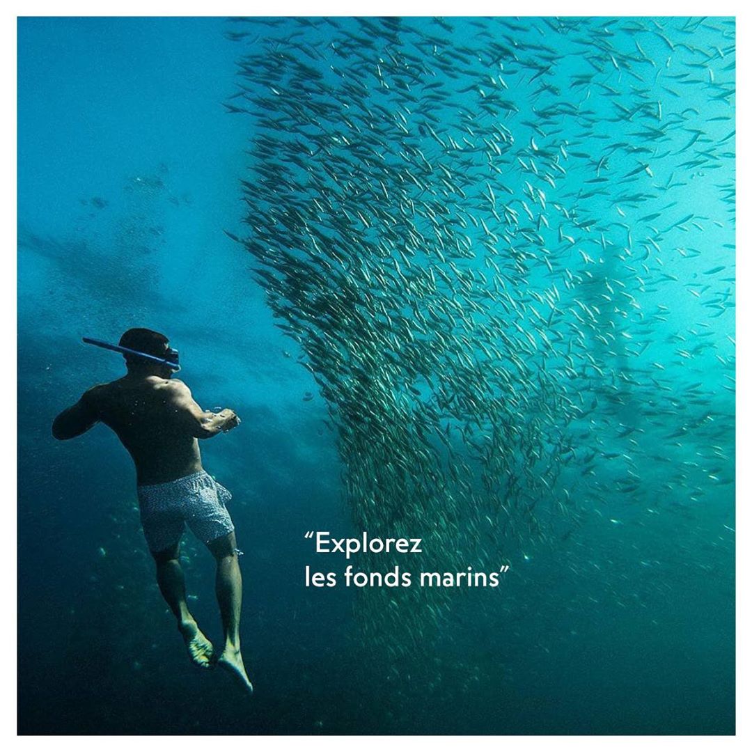 ATLAS_inst_'s tweet image. N’oubliez pas vos masques et tuba 🐟⁠ 🐠🐡, les fonds marins des #Philippines sont un véritable paradis pour les plongeurs, experts comme amateurs. Impressionnant n’est ce pas 😍? ⁠
-
-
-
#voyage #voyager #travel #travelphotography