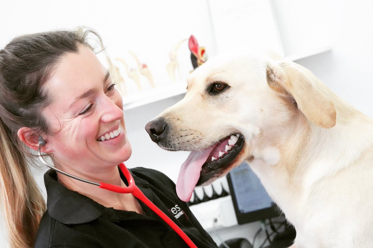 ** Poison Prevention Awareness Month for Pets **
This month we are highlighting common substances found in our homes that can make our pets poorly. Have a read of our latest blog post about common spring problems #pethealth #poisonprevention