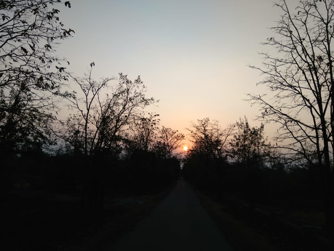 pranithburka93's tweet photo. It's the shade that shows the light. https://t.co/pDjI3QTSLB