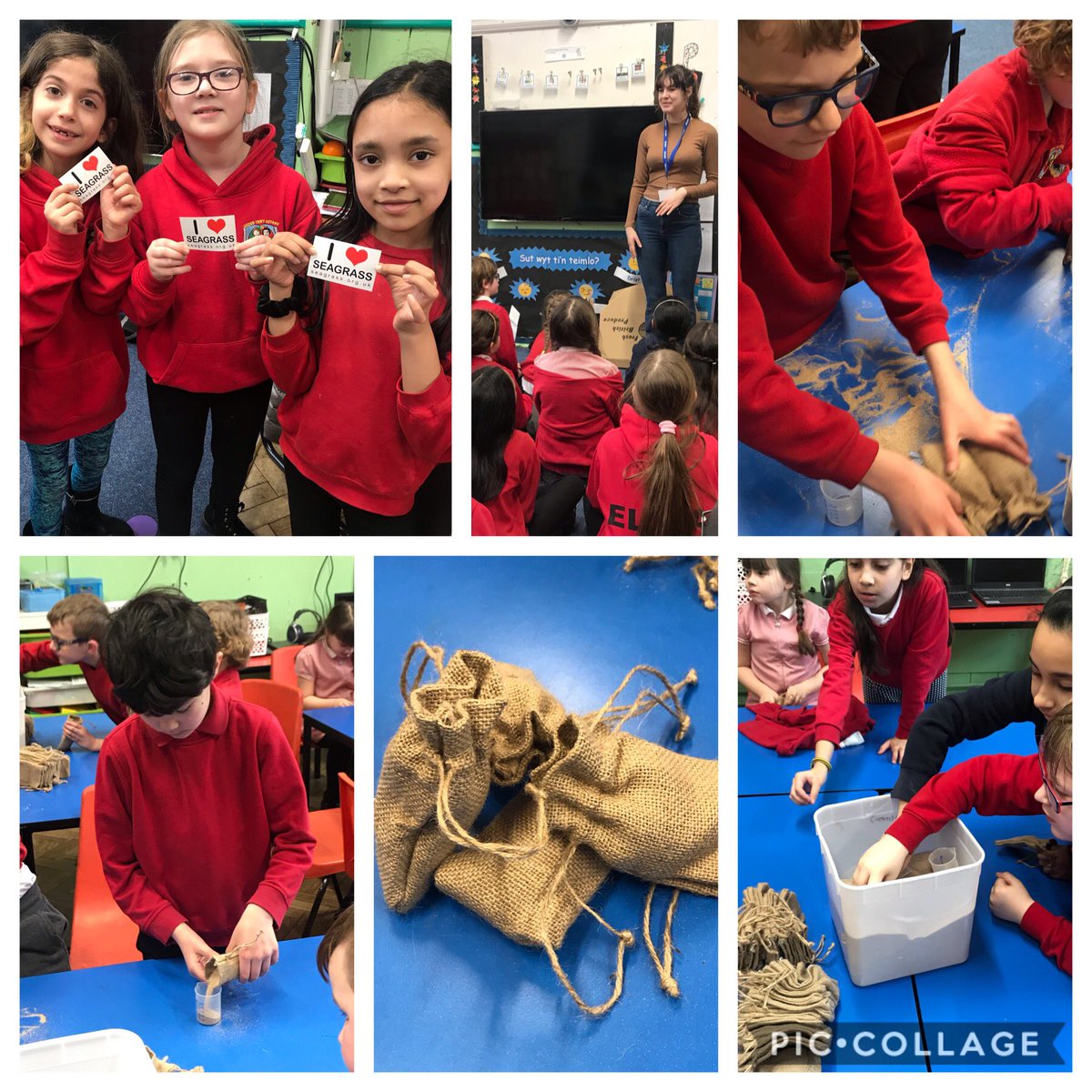 TerraceRoad's tweet photo. Year 3 have had a fantastic afternoon planting sea grass bags ๐ฑ as a #TRPeco school, we know how important it is to care for our environment! KS2 also had a very fun assembly @ProjectSeagrass #TRPstem #BSW20 https://t.co/kw4wdUhY9J