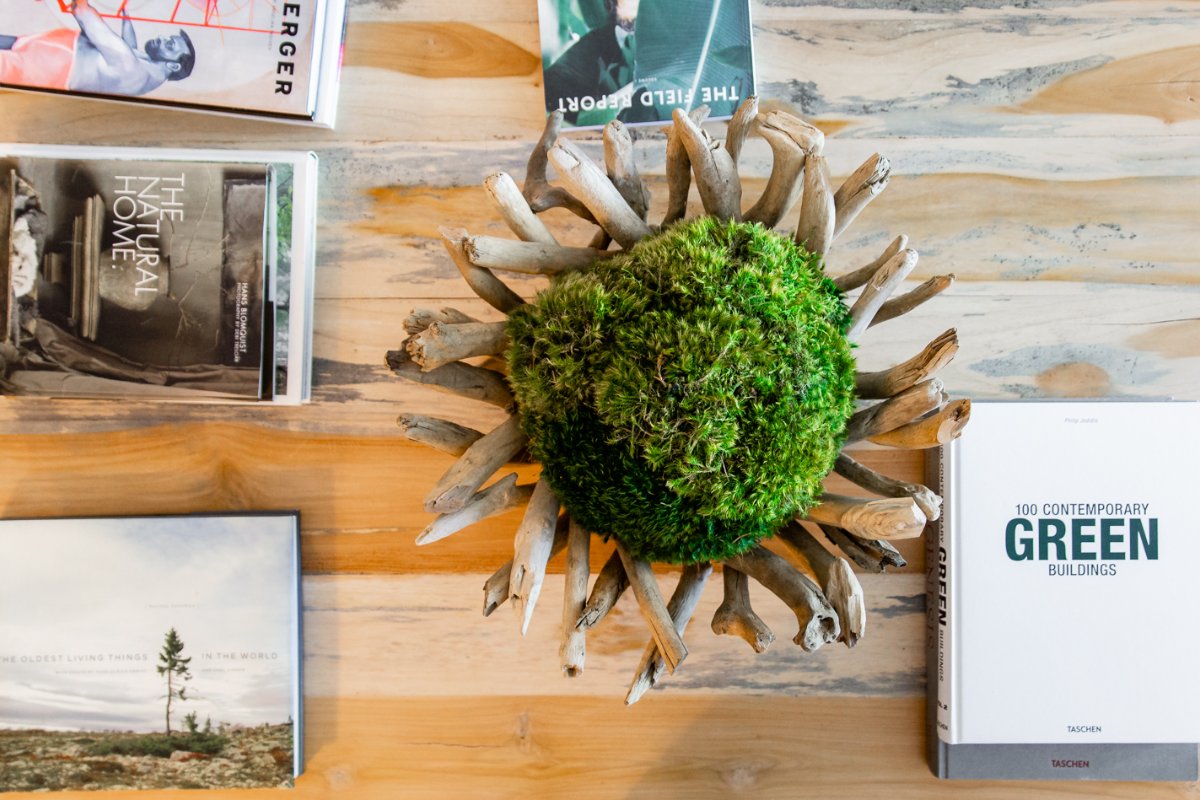 Thinking about adding greenery to your business? A simple moss sphere can boost productivity. #moss #business bit.ly/3bFJ8J2