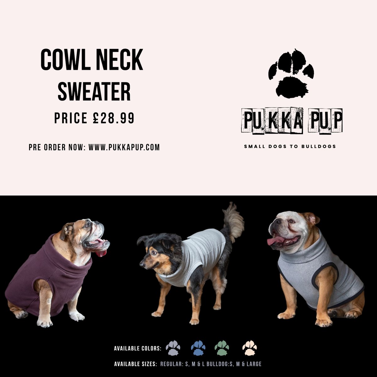 Pukka Pup (@pukkapup) / Posts / X