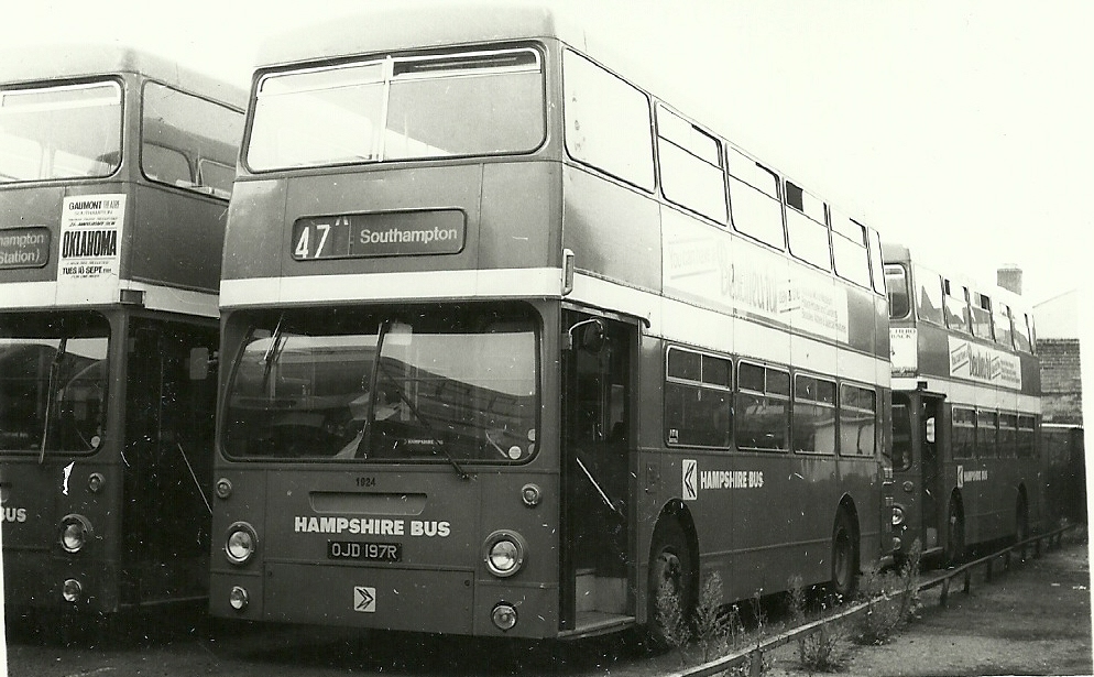 Bluestar tweet media