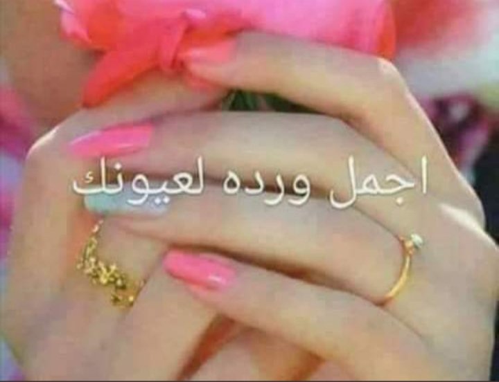 trfgd233's tweet photo. @zahrat2017 https://t.co/TI4bm1WapL