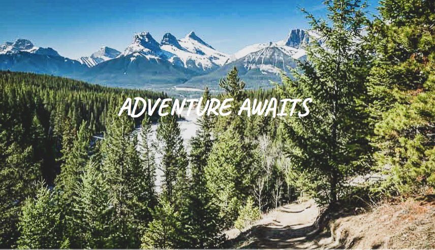 Run Like A Girl Adventures Inc. tweet media