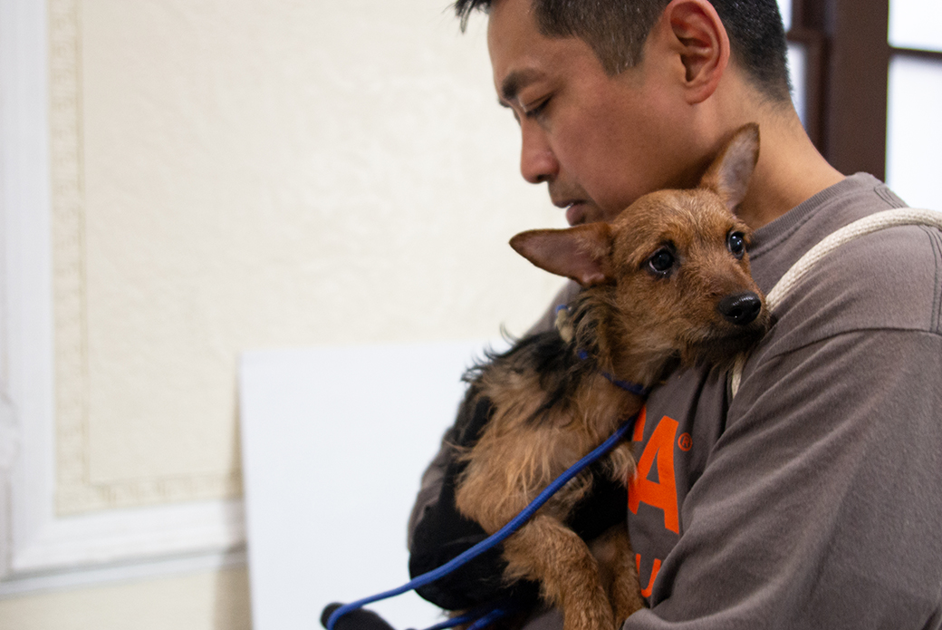 ASPCA's tweet photo. BREAKING: Terrified dogs rescued from #NYC apartment. The dogs were confined to a small apartment, and the majority had rarely set foot outside. They were extremely fearful, with many of them trembling, clinging to our responders. Read more: https://t.co/t5RFpSQIfr https://t.co/zqk62m7Fam