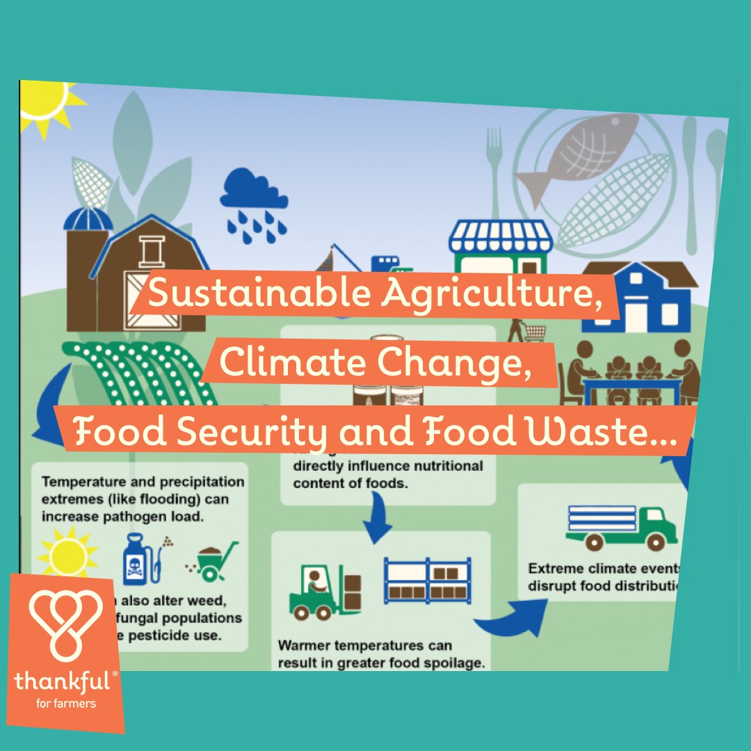 Thankful for Farmers (@thankful4farmer) on Twitter photo Food is the web that connects the most complex issues, none of which can be solved in isolation. #Thankful4Farmers is collaborating with experts to support Australian agriculture communities. Click thankful4farmers.com.au & show your support for change! <a href="/chefmattmoran/">Matt Moran</a> Food is the web that connects the most complex issues, none of which can be solved in isolation. #Thankful4Farmers is collaborating with experts to support Australian agriculture communities. Click thankful4farmers.com.au & show your support for change! <a href="/chefmattmoran/">Matt Moran</a>