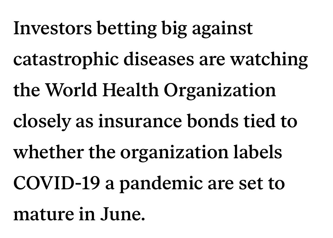 Zach Vorhies / Google Whistleblower tweet media