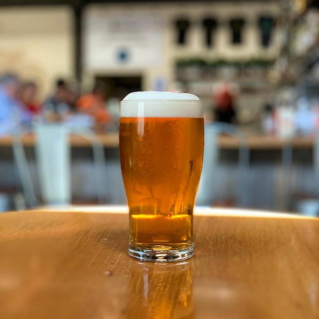 🚨 New West Coast IPA 🚨
Say hello, let the bitter pull you in... our newest beer is here, Pekko Persuasion! Full-bodied, bitter, yet balanced, our newbie West Coast IPA showcases the Pekko hop in both in the boil and as part of the dry hop. Fresh cut … ift.tt/3cW0vpJ