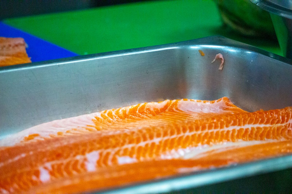 Heat_Jersey's tweet photo. Wow! the first dish has just been served and it looks fabulous, our guests are in for a gastronomic treat tonight! Massive thanks to our partner Fin &amp; Feather for supplying all our Fish for the competition! #finandfeatherltd 🐟 #FCOTTheGallery #FcotGallery #farnboroughgram #H ... https://t.co/sefSANLifQ