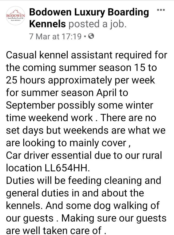 LlanfairPlas's tweet photo. #JOB #VACANCY Our Head of Security highly recommends Bodowen Luxury #Kennels #Llanfaethlu #Anglesey Get in touch! #angleseyhour please RT. More info https://t.co/01cJgRhb9g #dog #dogsoftwitter #dogs #dogsofinsta #dogsofinstagram https://t.co/NTaGWHG3Ck