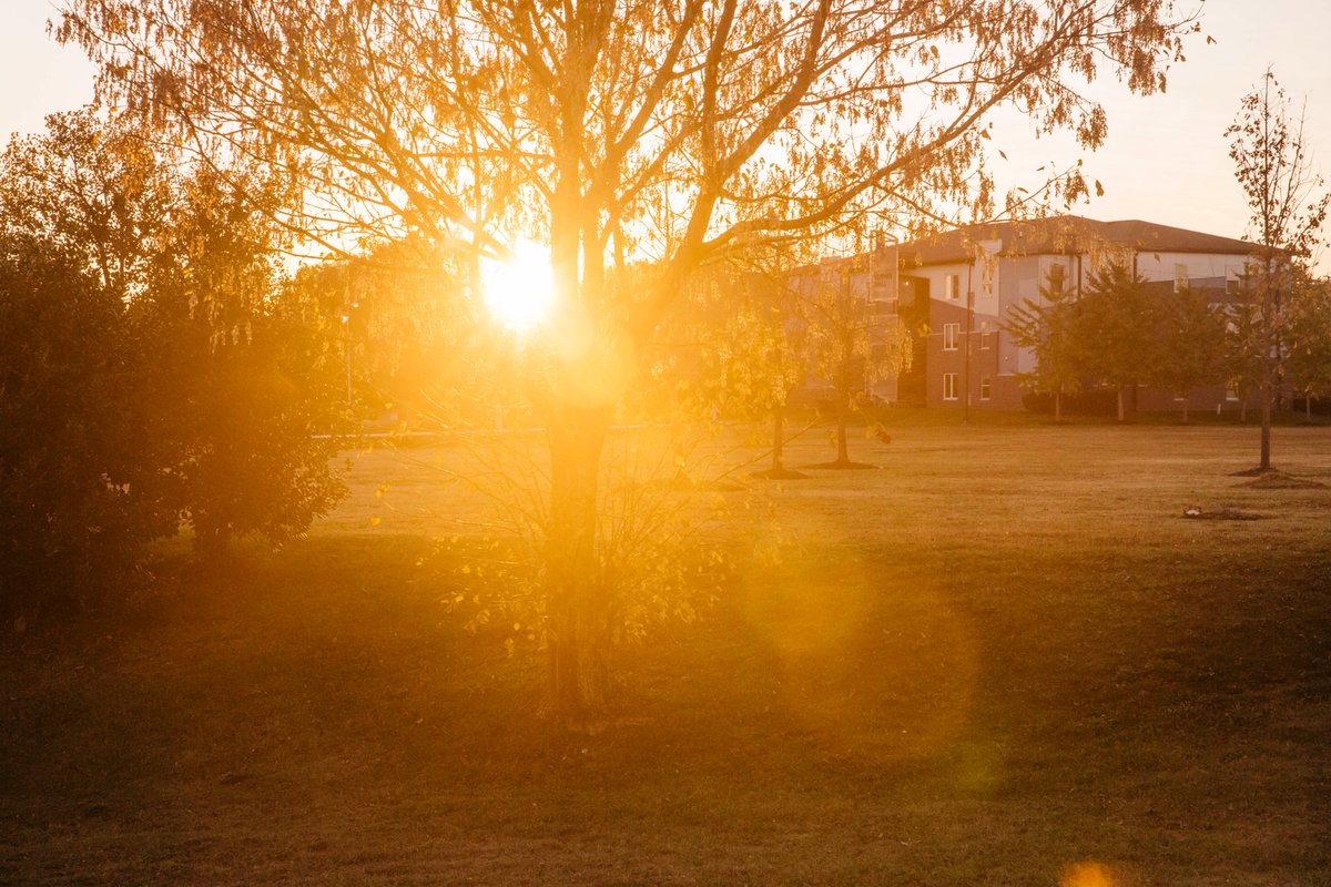 An update related to COVID-19 and the recent steps the college has taken to combat the virus. Plans are developing. Given the fluid nature of the national effort, we ask for your patience as we work to understand the virus's evolution/impact on Watkins. watkins.edu/news/on-the-co…