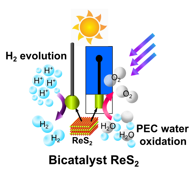 SiowwoonNg's tweet photo. New article! ReS2 on electrodes by #3Dprinting as #electrocatalyst and #photocatalyst. @FutureEnergyLab @CIffelsberger @PumeraGroup @CEITEC_Brno
https://t.co/sgHrpzezwu https://t.co/6thL0SyZCN